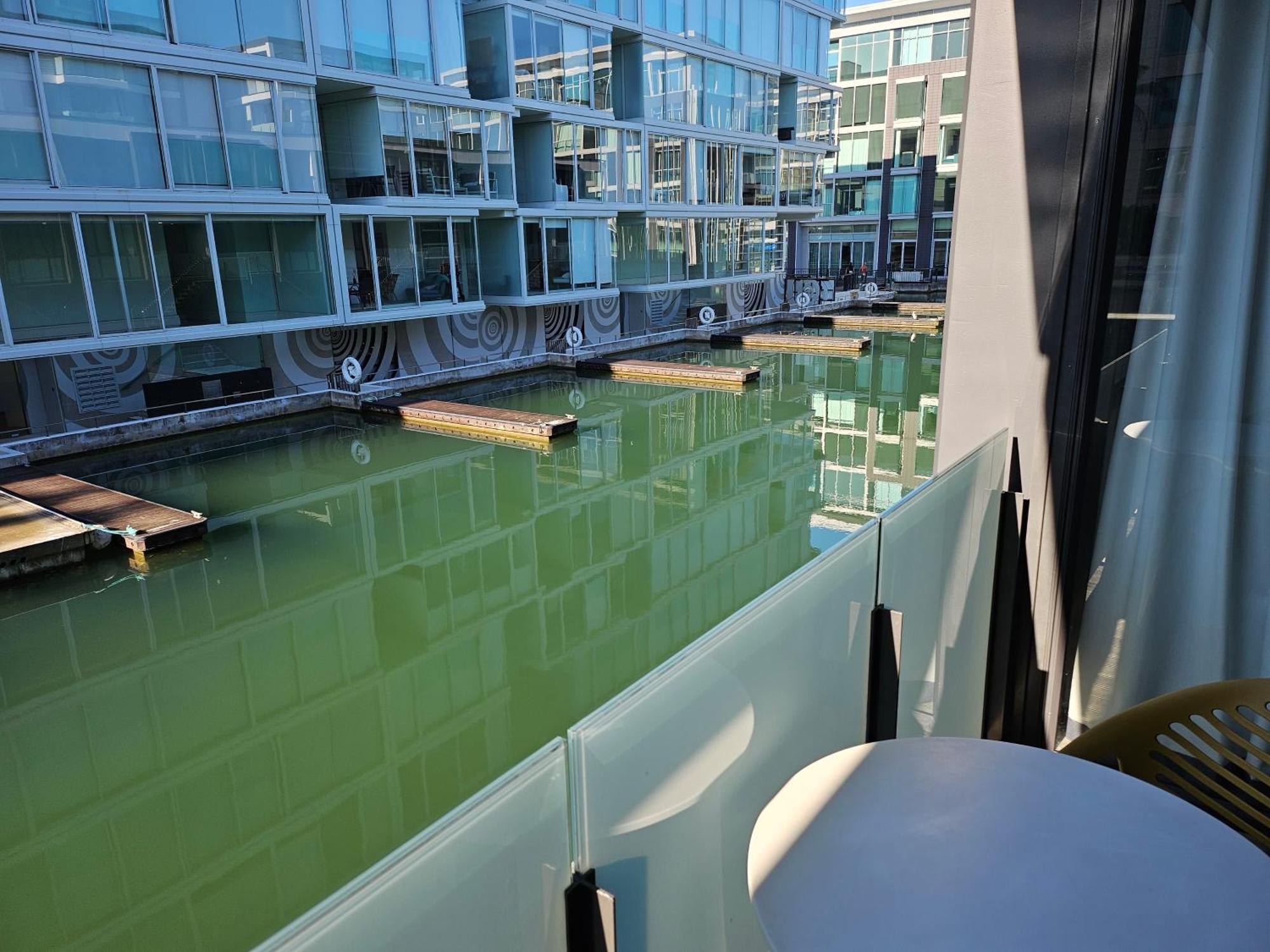 Pavilions Marina Apartment 102 - Wynyard Quarter Viaduct Harbour Оукланд Екстериор снимка